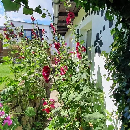 Apartamento Ferienwohnung Stein Sassnitz