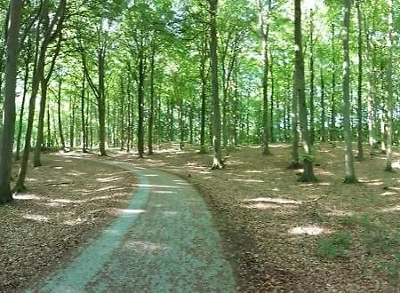 Apartamento Ferienwohnung Stein *